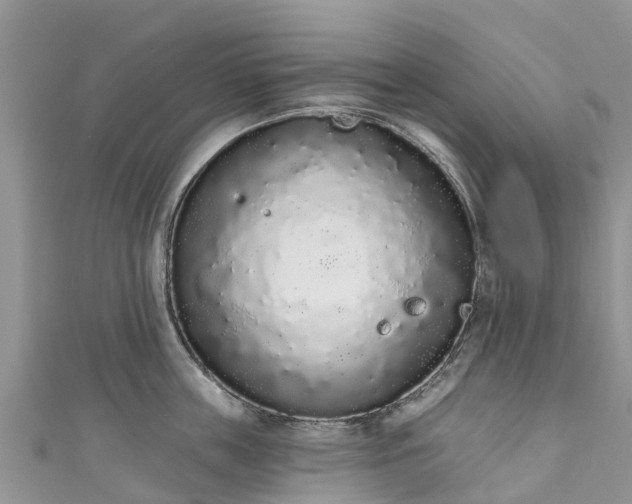 X0000110960859200906261340