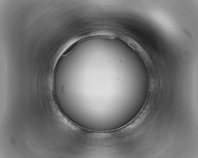 X0000110960860200906261340