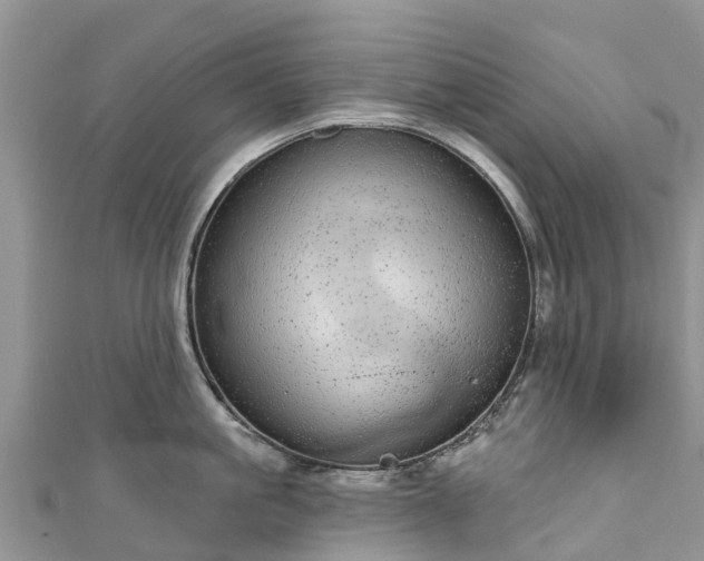 X0000110960861200906261340