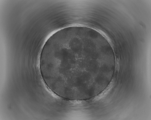 X0000110960862200906261340