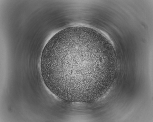 X0000110960863200906261340