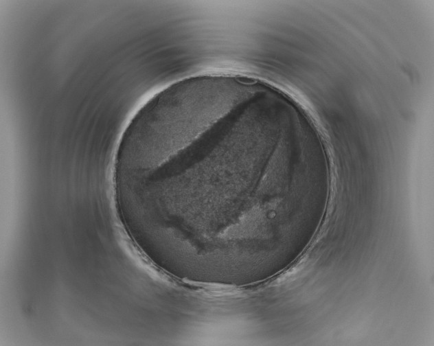 X0000110960864200906261340