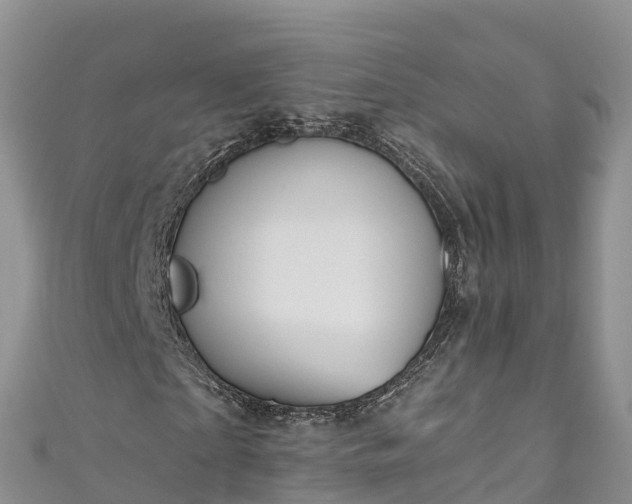 X0000110960865200906261339