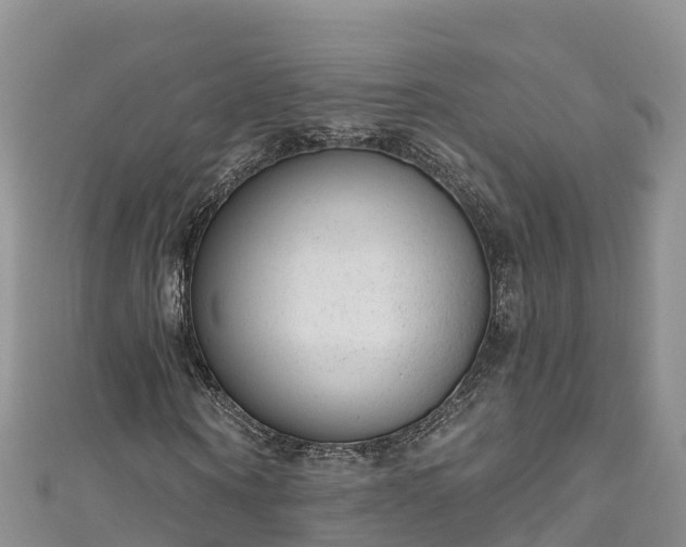 X0000110960866200906261339