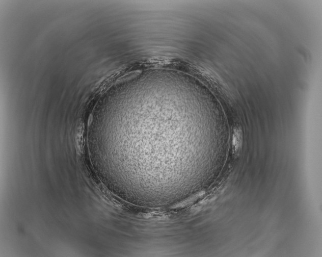 X0000110960867200906261339