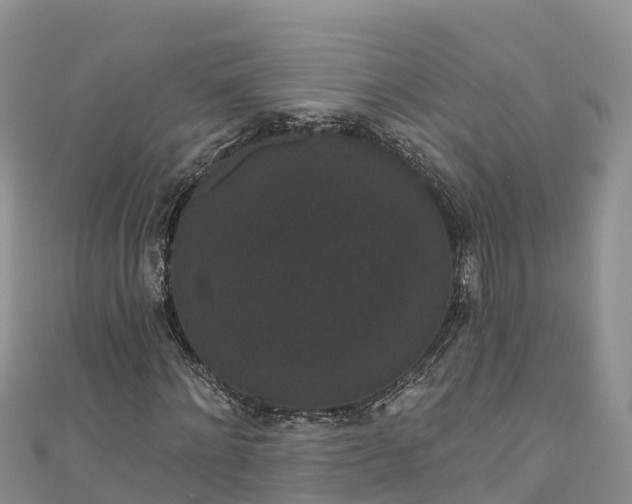 X0000110960868200906261339