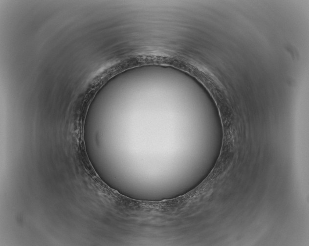 X0000110960870200906261339