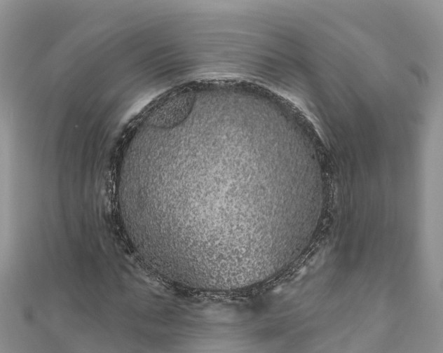 X0000110960871200906261339