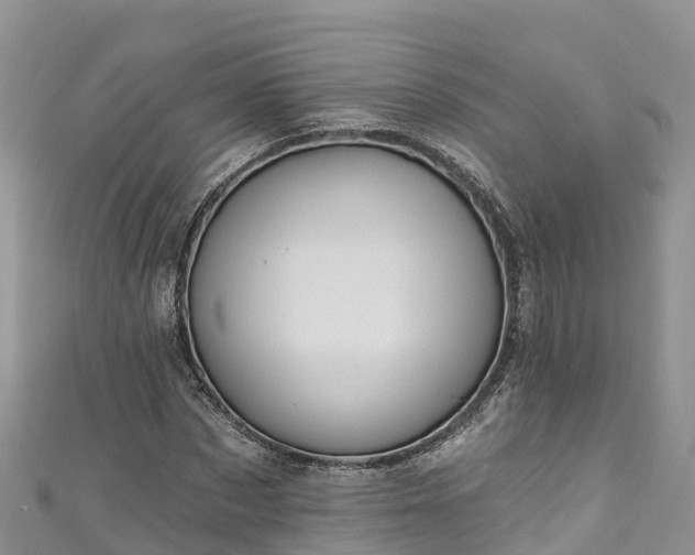 X0000110960873200906261339