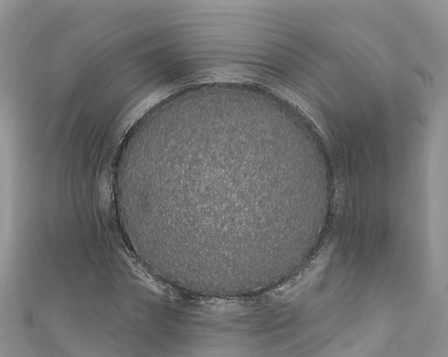 X0000110960874200906261339