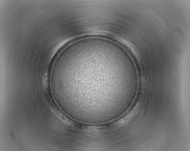 X0000110960875200906261339