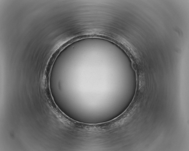 X0000110960876200906261339