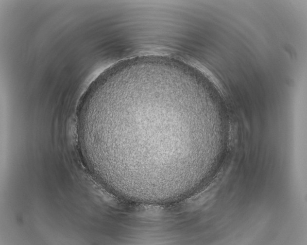 X0000110960878200906261339