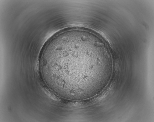 X0000110960879200906261339