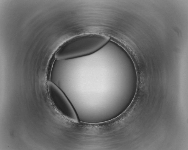 X0000110960880200906261339