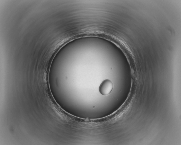 X0000110960881200906261339