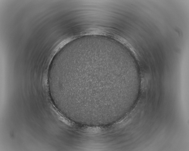 X0000110960882200906261339