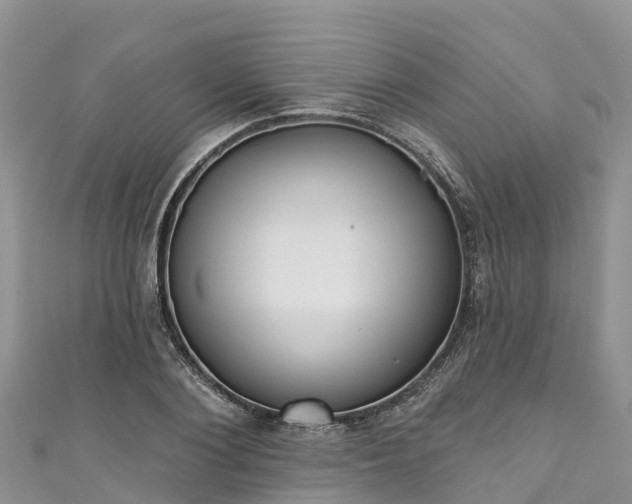 X0000110960884200906261339