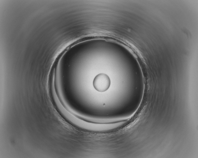 X0000110960885200906261339