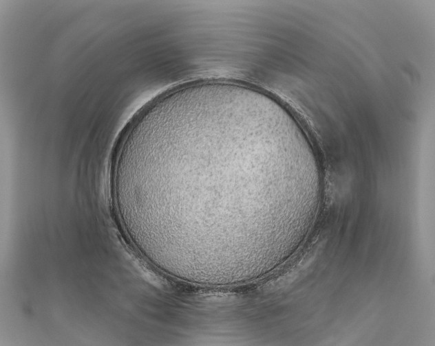 X0000110960886200906261339