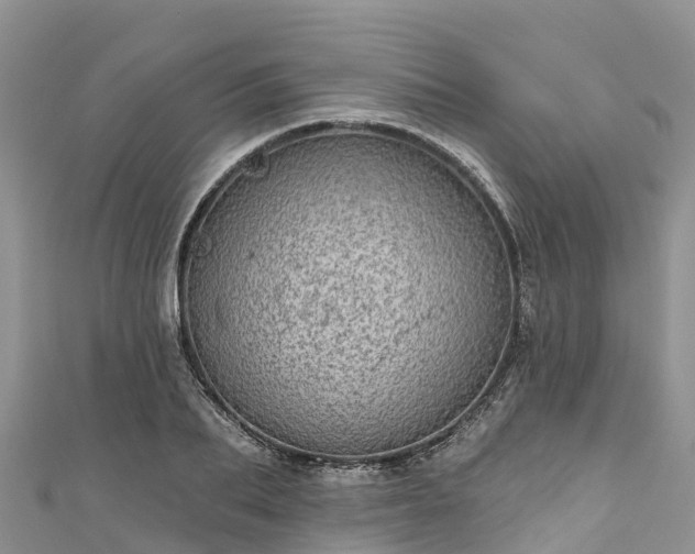 X0000110960887200906261339