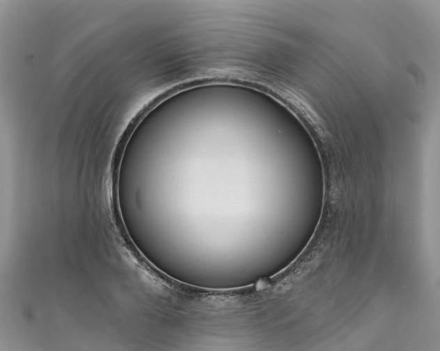 X0000110960888200906261339