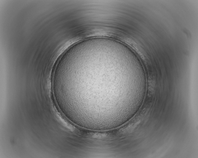 X0000110960890200906261339