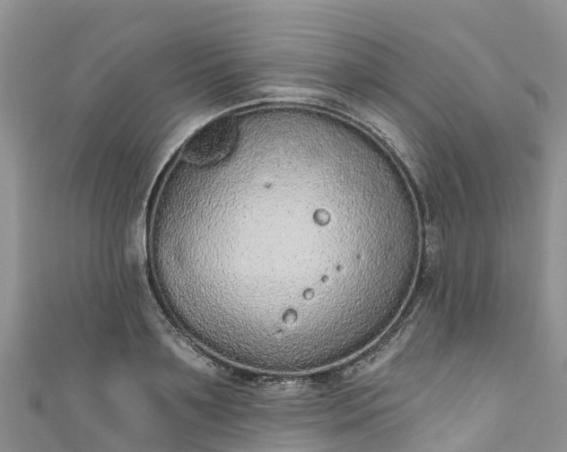 X0000110960891200906261339