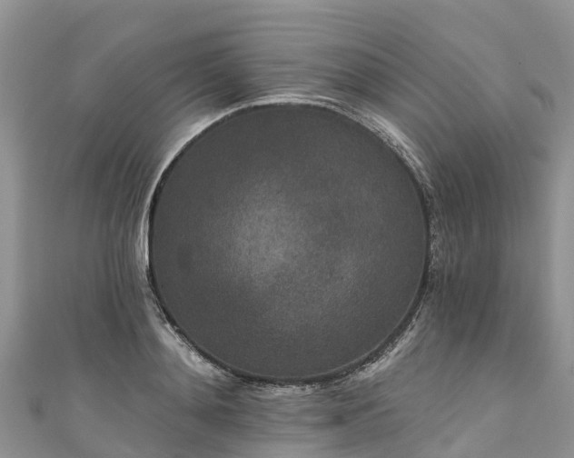 X0000110960892200906261339