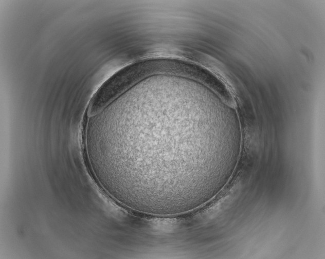 X0000110960893200906261339