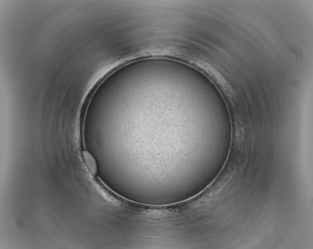 X0000110960894200906261339