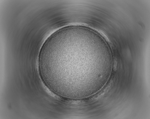 X0000110960895200906261339