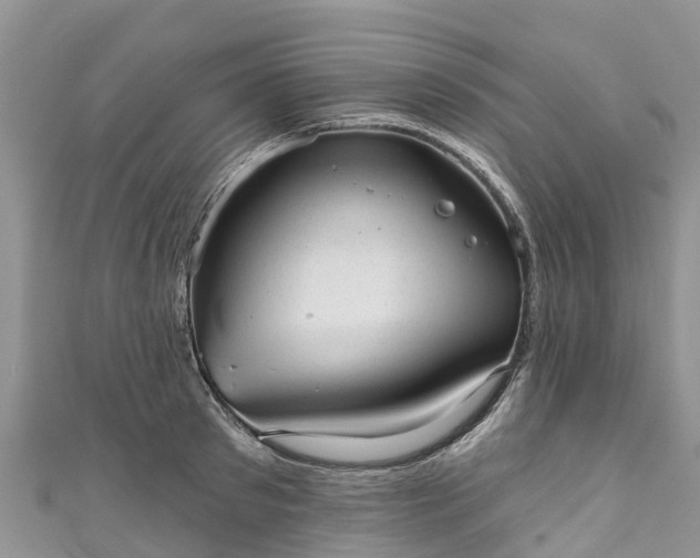 X0000110960897200906261339