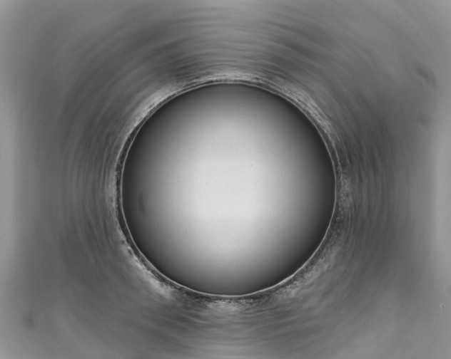 X0000110960898200906261339