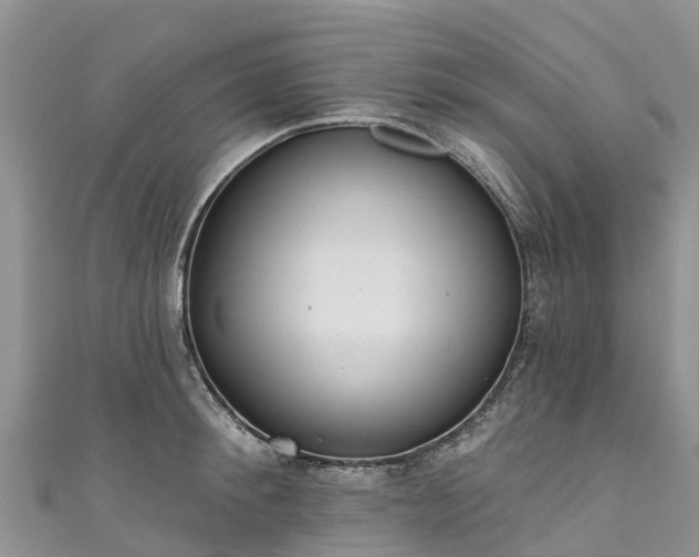 X0000110960900200906261339