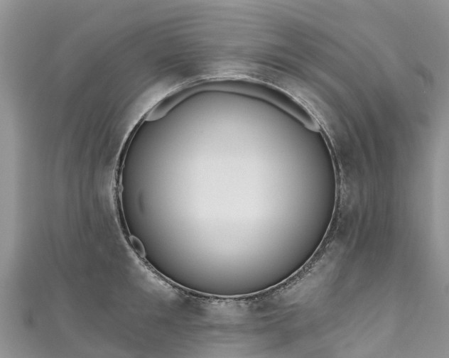 X0000110960901200906261339