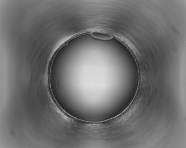 X0000110960902200906261339