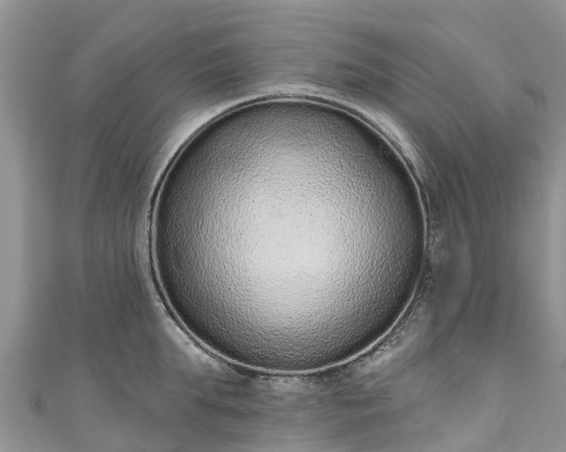 X0000110960903200906261339