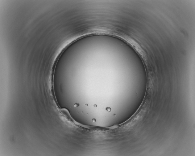 X0000110960904200906261339