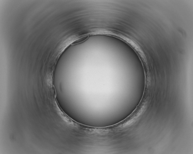 X0000110960905200906261339