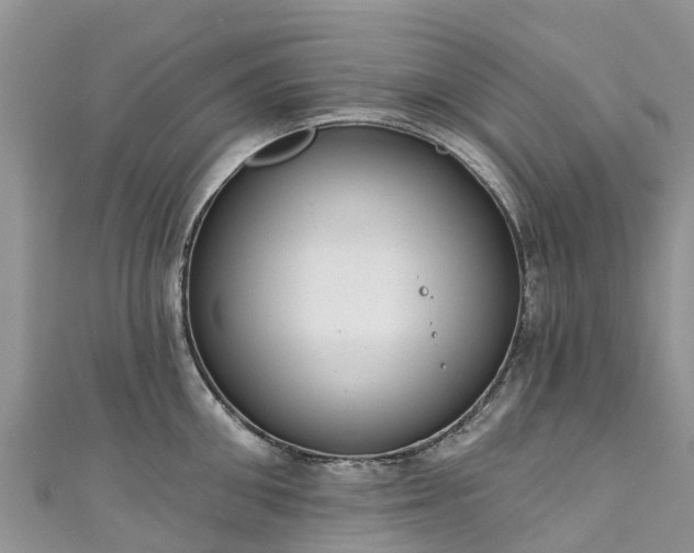 X0000110960906200906261339