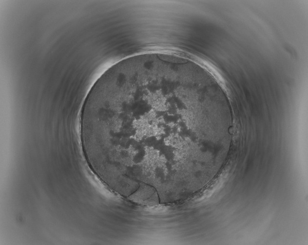 X0000110960907200906261339