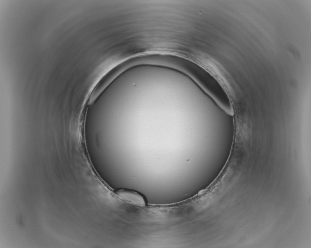 X0000110960908200906261339