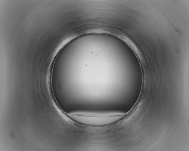 X0000110960909200906261339