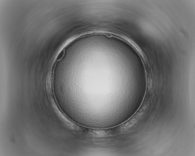 X0000110960911200906261339