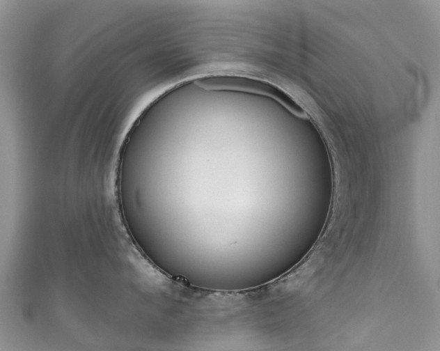 X0000110960912200906261339