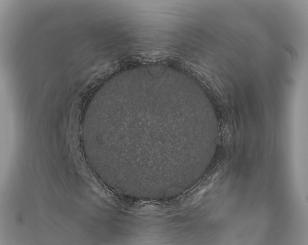 X0000110960913200906261338