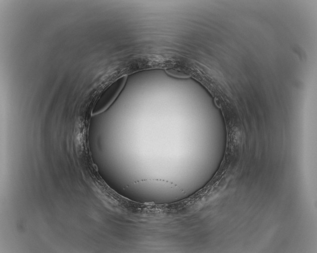 X0000110960914200906261338