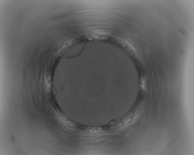 X0000110960915200906261338