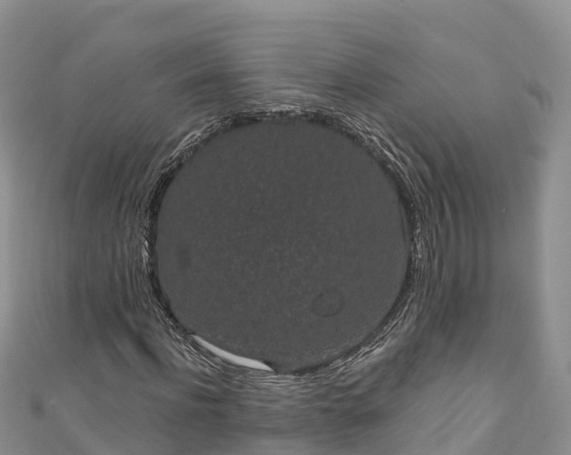 X0000110960916200906261338